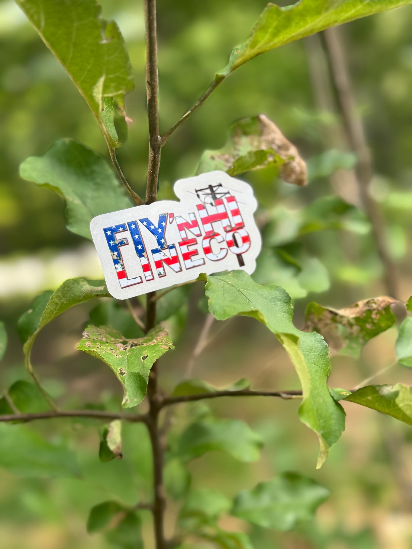 American flag embossed logo Fly’N Hi Lineco